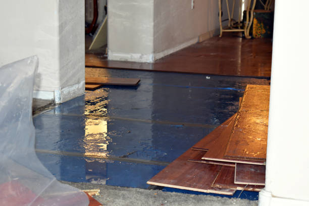 Professional Water Damage technician working in Renton, WA