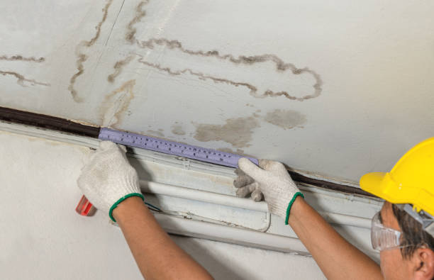Reliable Water Damage contractor in Renton, WA by Water Damage Irwin